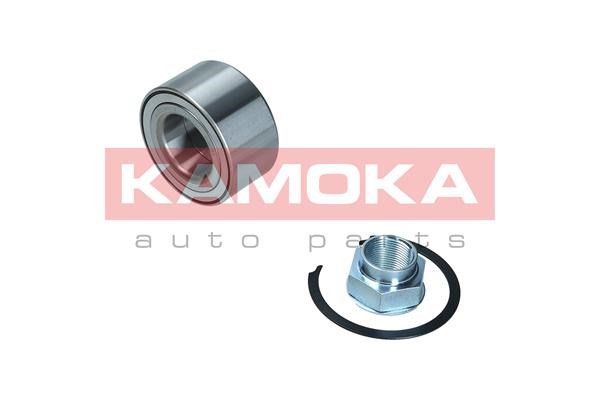Wheel Bearing Kit KAMOKA 5600120
