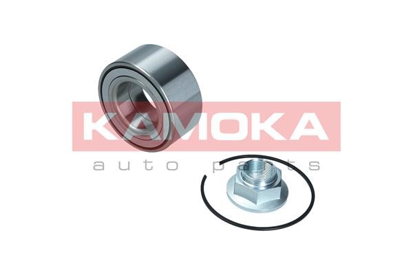 Wheel Bearing Kit KAMOKA 5600179