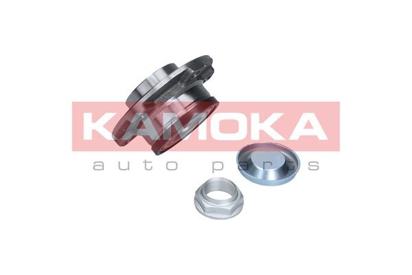 Wheel Bearing Kit KAMOKA 5500145 2