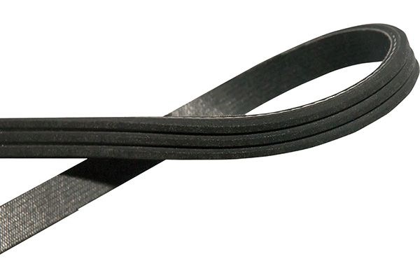 V-Ribbed Belts KAVO PARTS DMV-6504