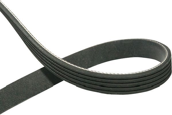 V-Ribbed Belts KAVO PARTS DMV-1007