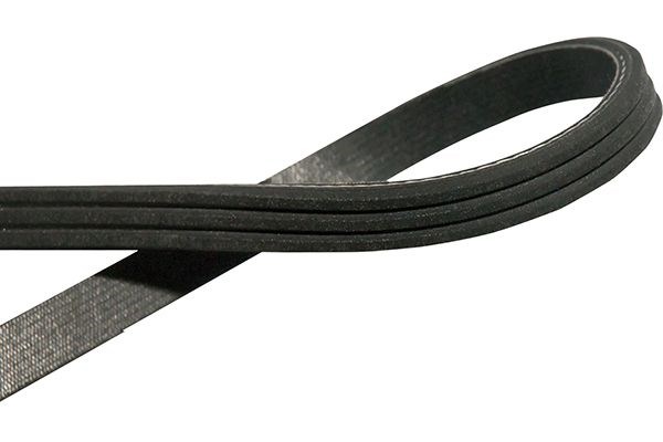 V-Ribbed Belts KAVO PARTS DMV-6549