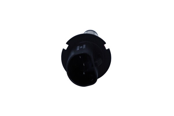 Bulb, headlight MAXGEAR 780065 2