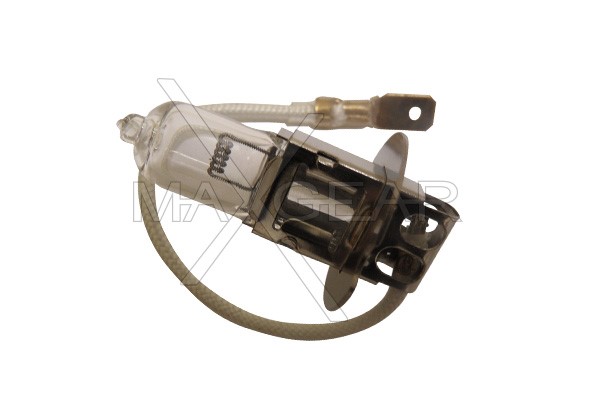 Bulb, headlight MAXGEAR 780050
