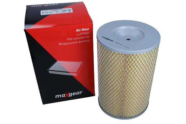 Air Filter MAXGEAR 262342 2