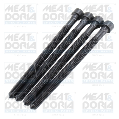 Screw, injection nozzle holder MEAT & DORIA 98510