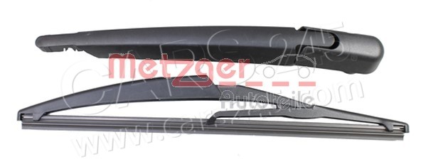 Wiper Arm, window cleaning METZGER 2190474