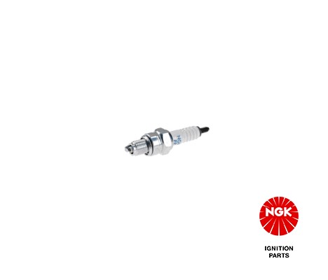 Spark Plug NGK 4549 2