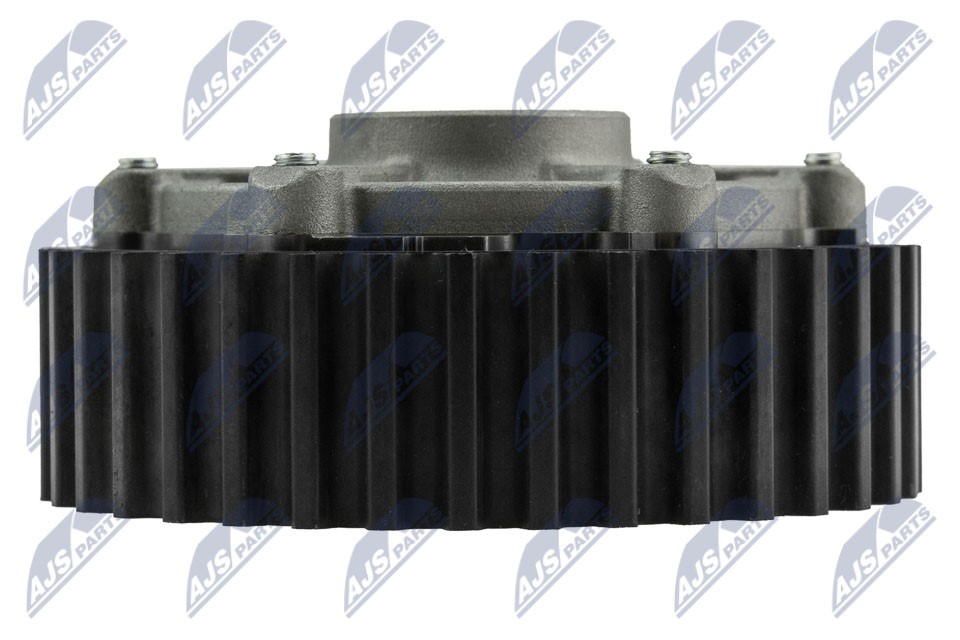 Actuator, exentric shaft (variable valve lift) NTY RKZ-RE-001 4