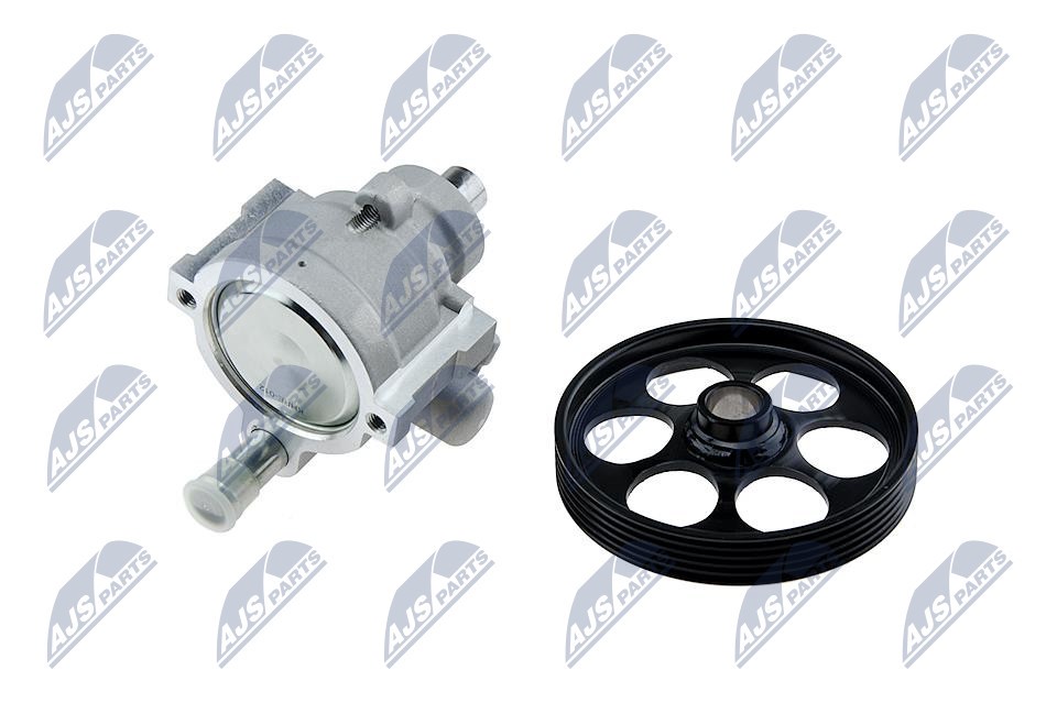 Hydraulic Pump, steering system NTY SPW-RE-012 2