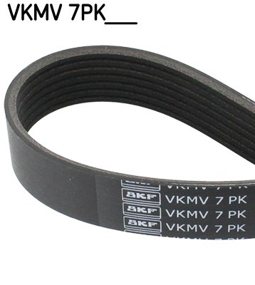 V-Ribbed Belt skf VKMV7PK1125
