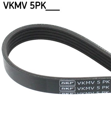 V-Ribbed Belt skf VKMV5PK1300