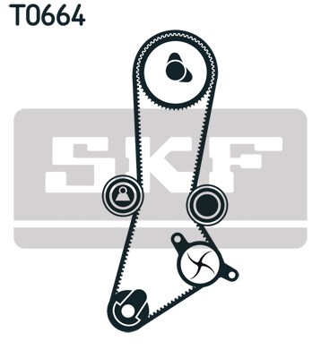 Timing Belt Kit skf VKMA95660 2