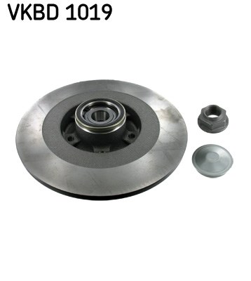 Brake Disc skf VKBD1019