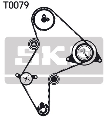 Timing Belt Kit skf VKMA96219 2