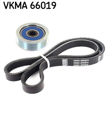 V-Ribbed Belt Set skf VKMA66019