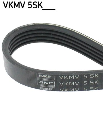 V-Ribbed Belt skf VKMV5SK926