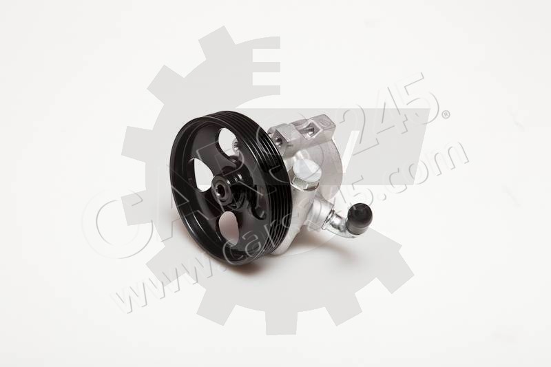 Hydraulic Pump, steering system SKV Germany 10SKV031