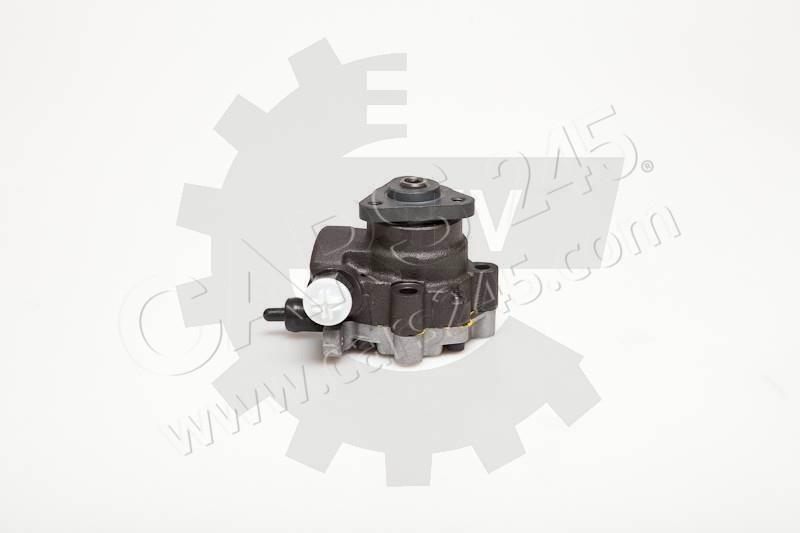 Hydraulic Pump, steering system SKV Germany 10SKV095