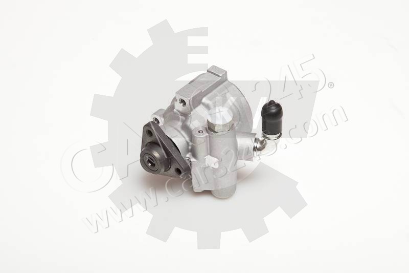 Hydraulic Pump, steering system SKV Germany 10SKV003