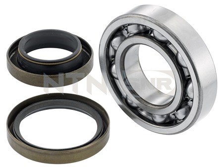 Wheel Bearing Kit SNR R15101
