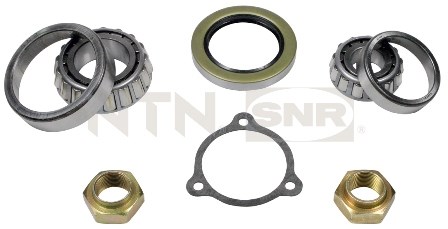Wheel Bearing Kit SNR R14058