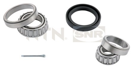 Wheel Bearing Kit SNR R15202