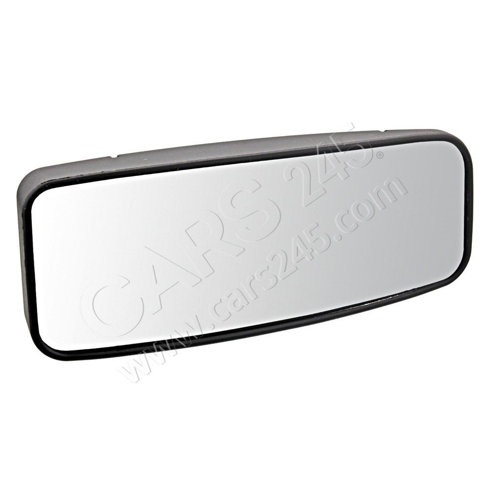 Mirror Glass, wide angle mirror SWAG 10949953