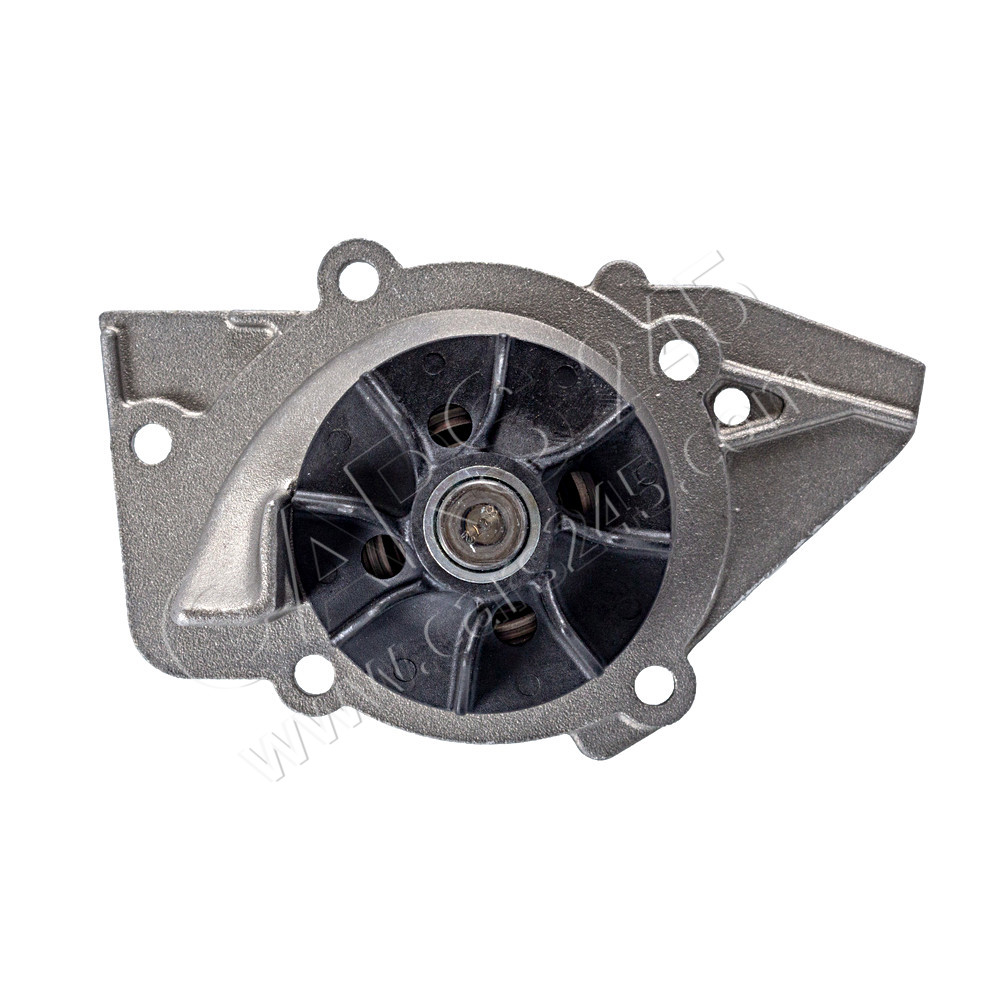 Water Pump, engine cooling SWAG 62919069 2