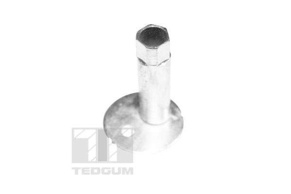 Camber Correction Screw TEDGUM TED39615 2