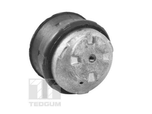Mounting, engine TEDGUM TED81021 3