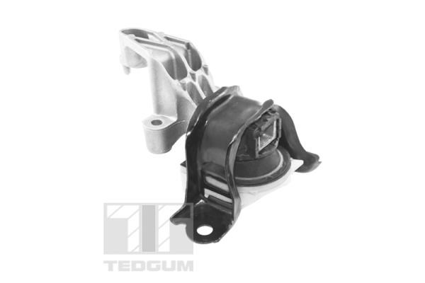 Mounting, engine TEDGUM TED25761