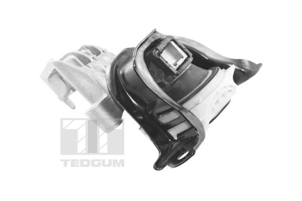 Mounting, engine TEDGUM TED25761 2