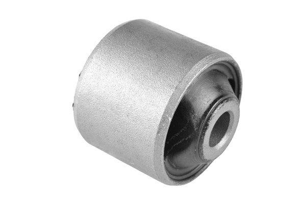 Mounting, differential TEDGUM 00059920 2