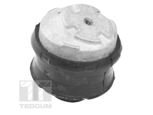 Mounting, engine TEDGUM TED72237 2