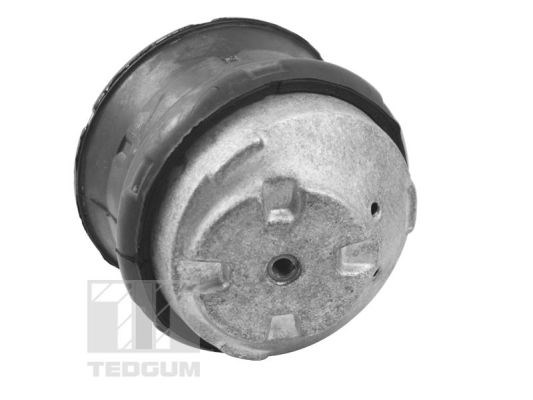 Mounting, engine TEDGUM TED72237 3