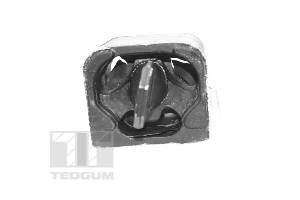 Mounting, engine TEDGUM TED99764 3