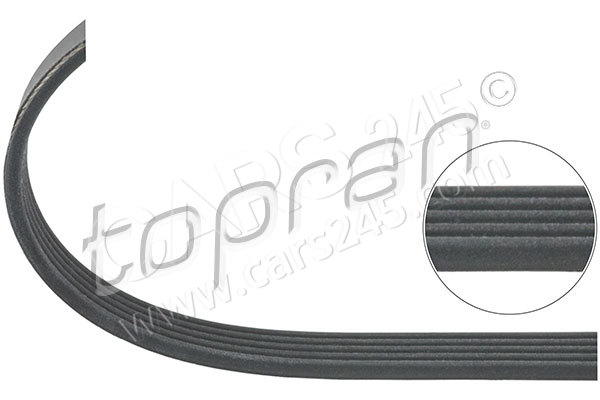V-Ribbed Belt TOPRAN 101115