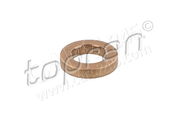 Seal Ring, injector TOPRAN 117913