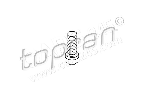 Screw Plug, oil sump TOPRAN 400304