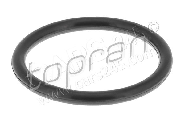 Seal Ring, coolant pipe TOPRAN 119259