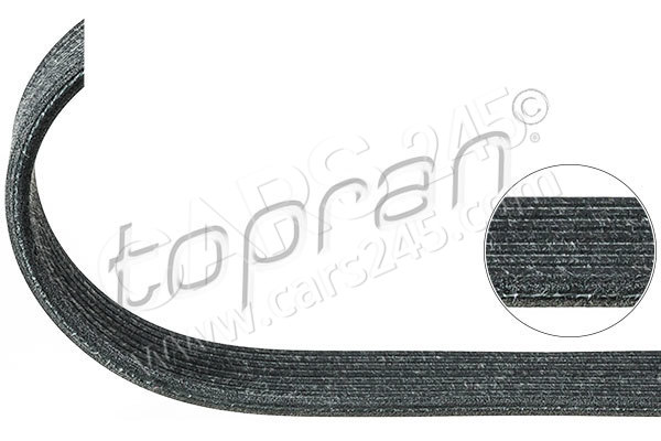 V-Ribbed Belt TOPRAN 112977
