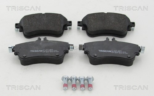 Brake Pad Set, disc brake TRISCAN 811023073
