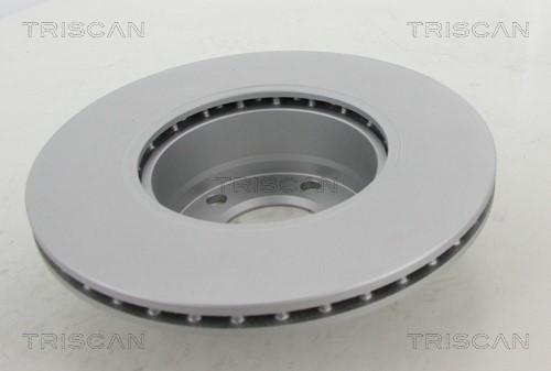 Brake Disc TRISCAN 812011101C 2