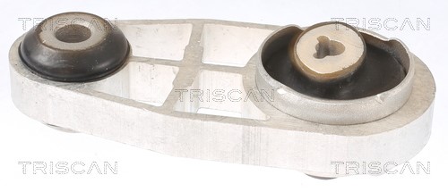 Mounting, engine TRISCAN 850525128