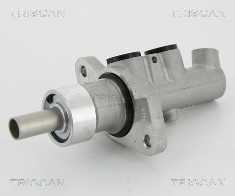 Brake Master Cylinder TRISCAN 813023128