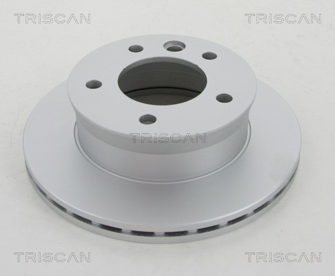Brake Disc TRISCAN 812010169C