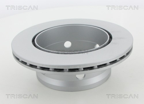 Brake Disc TRISCAN 812023144C 2