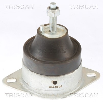 Mounting, engine TRISCAN 850510119