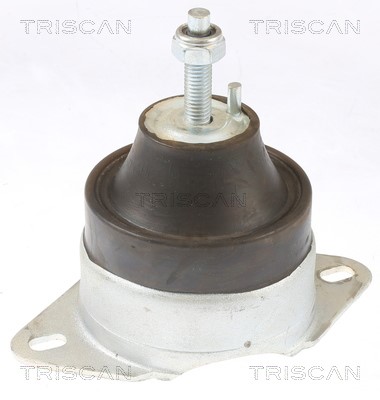 Mounting, engine TRISCAN 850510119 2